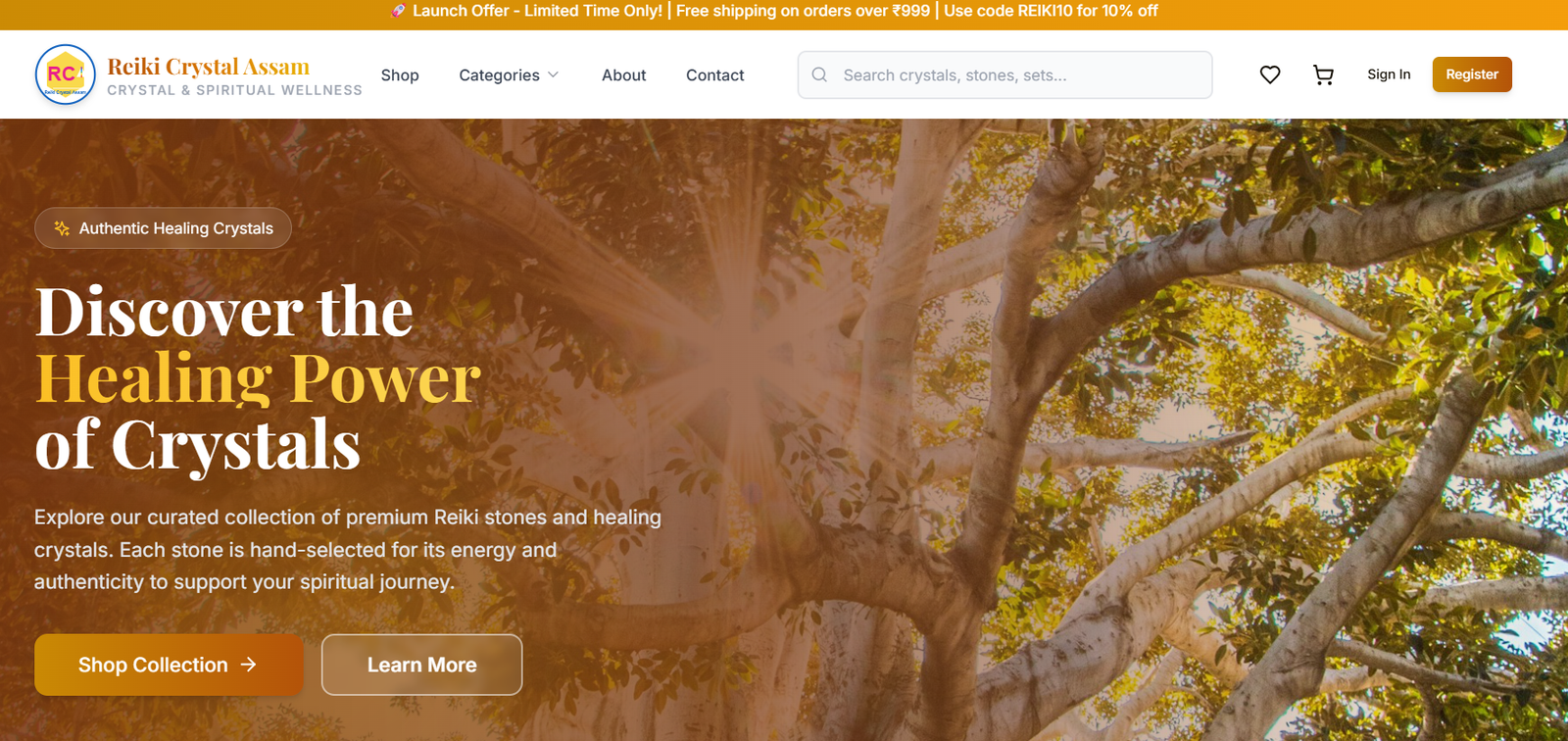 Reiki Healing Assam project preview